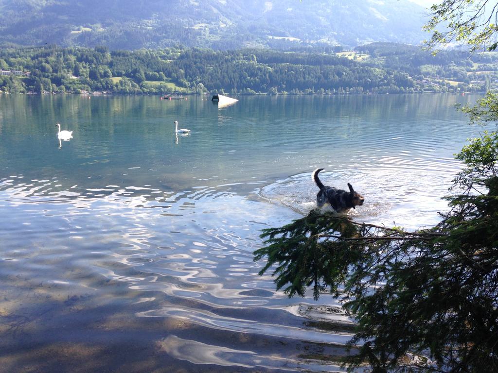 Ruhige Wohnung Mit Schoenem Eigengarten In Seeboden Am Millstaettersee 객실 사진