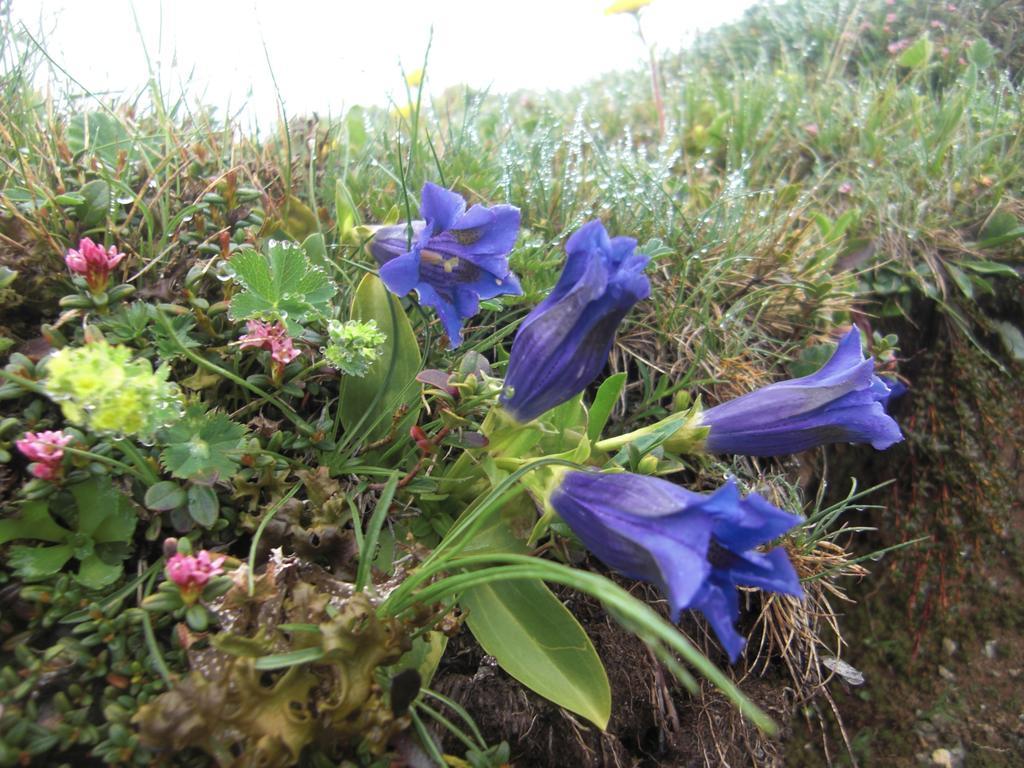 Ruhige Wohnung Mit Schoenem Eigengarten In Seeboden Am Millstaettersee 외부 사진