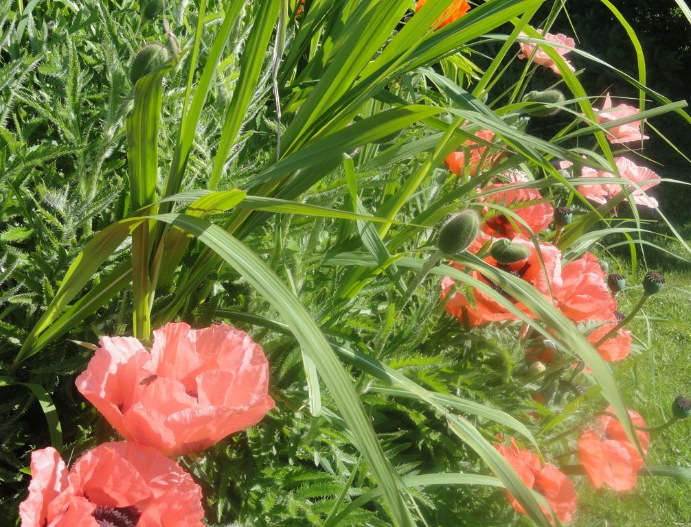 Ruhige Wohnung Mit Schoenem Eigengarten In Seeboden Am Millstaettersee 외부 사진