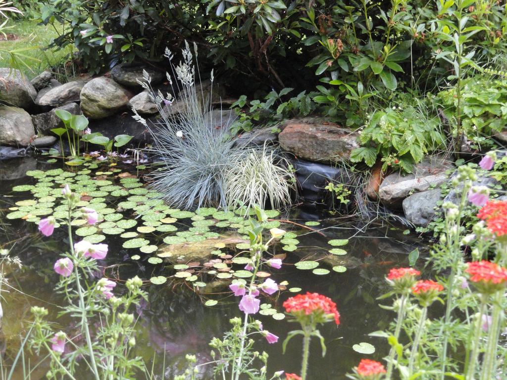Ruhige Wohnung Mit Schoenem Eigengarten In Seeboden Am Millstaettersee 외부 사진